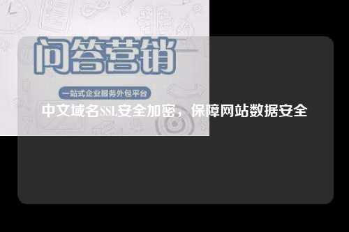 中文域名SSL安全加密，保障网站数据安全