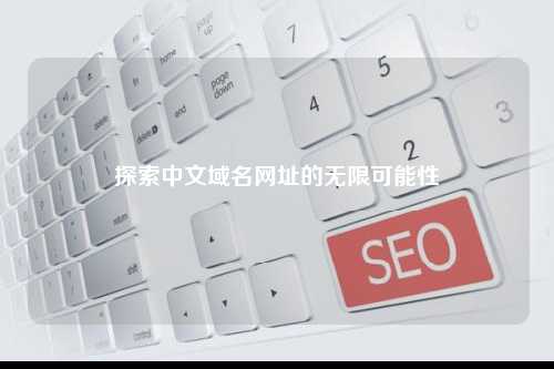 探索中文域名网址的无限可能性