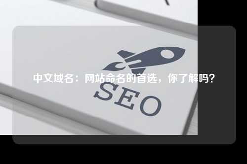 中文域名：网站命名的首选，你了解吗？