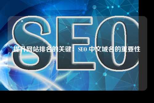 提升网站排名的关键：SEO 中文域名的重要性