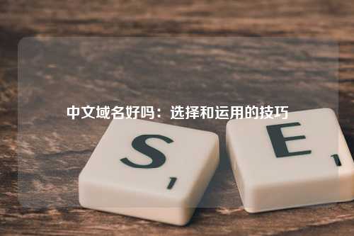 中文域名好吗：选择和运用的技巧