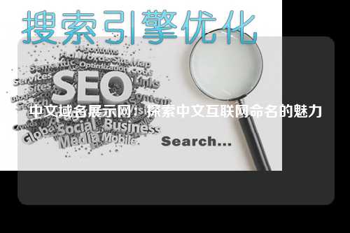 中文域名展示网：探索中文互联网命名的魅力