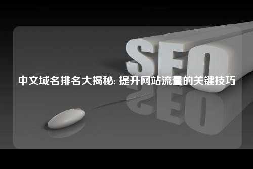 中文域名排名大揭秘: 提升网站流量的关键技巧